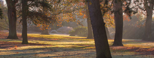 手机号自动轰炸